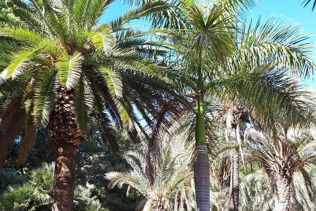 Lejlighed Studio Type Loft Malaga Gare De Trains Et Plage Spanien